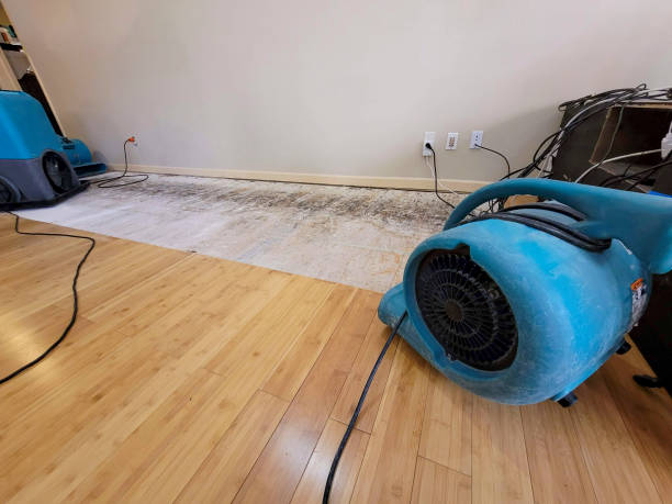 Professional Flood Damage Cleanup technician working in Kansasville, WI